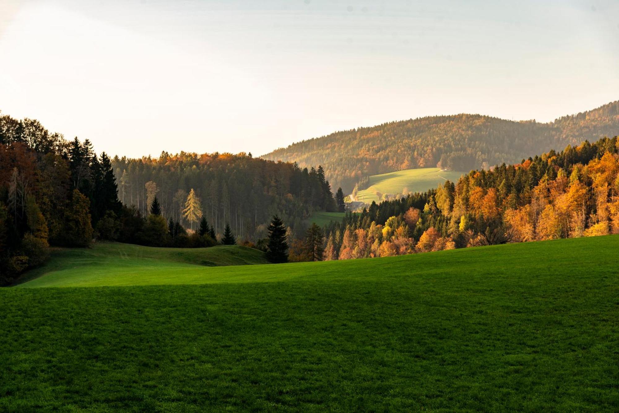 Ferienwohnung Am Labyrinth Semriach Luaran gambar